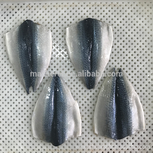 Chinese IQF Frozen Butterfly Mackerel Fish Flaps